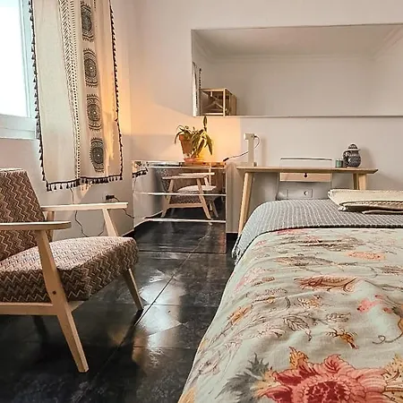 Perro Y Osito Coliving - Bed & Breakfast San Andrés