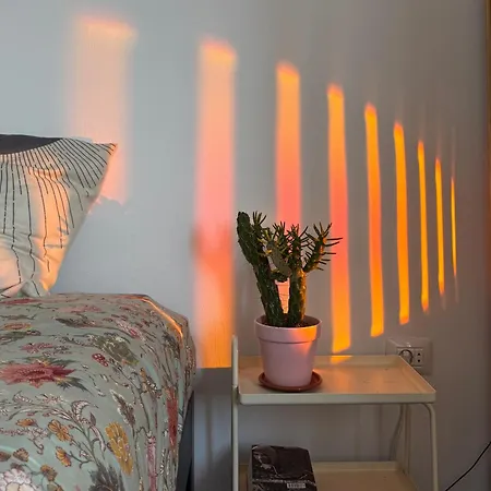Perro Y Osito Coliving - فندق مبيت وإفطار *