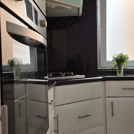 Perro Y Osito Coliving -