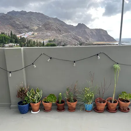 فندق مبيت وإفطار Perro Y Osito Coliving -