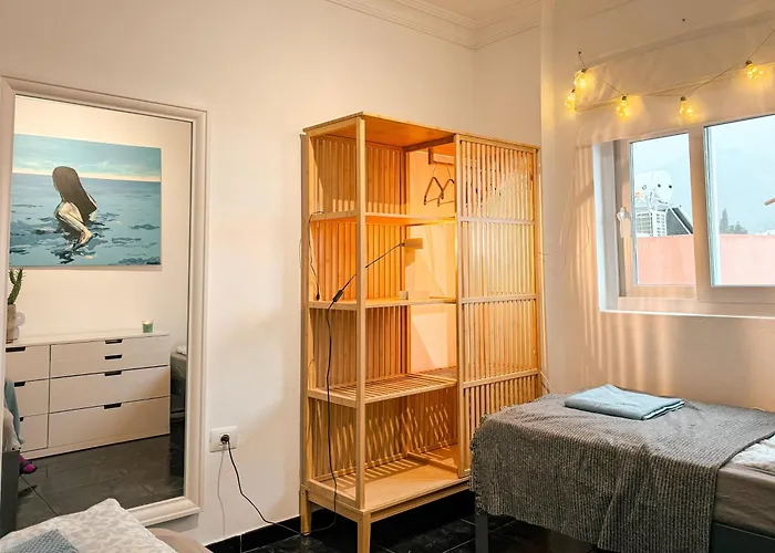 Perro Y Osito Coliving - فندق مبيت وإفطار San Andrés