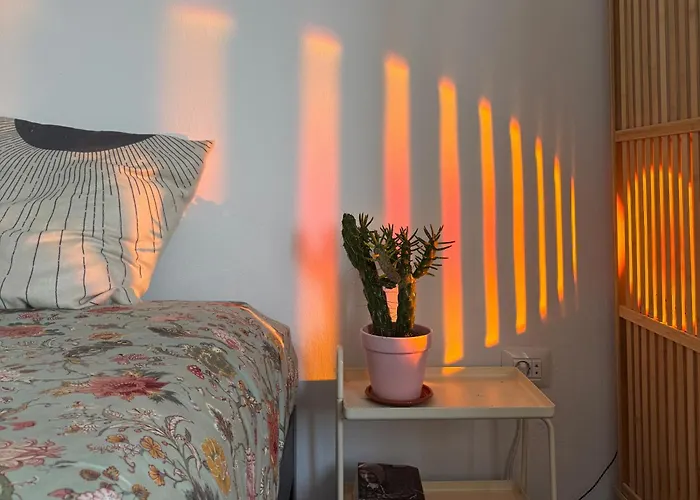 Perro Y Osito Coliving - فندق مبيت وإفطار *