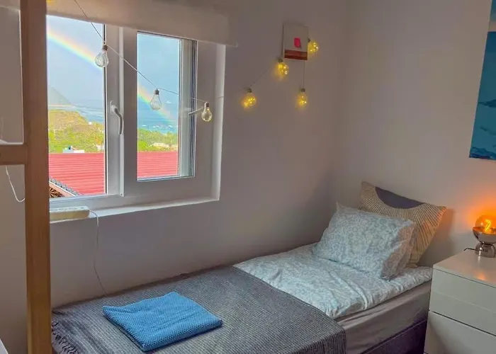فندق مبيت وإفطار Perro Y Osito Coliving - San Andrés