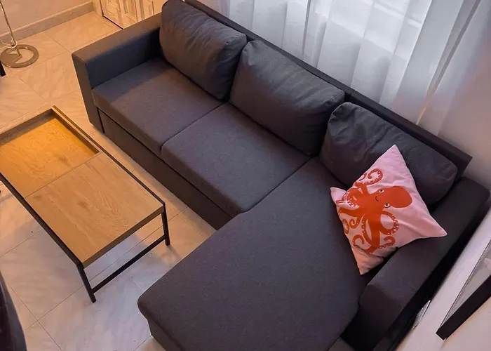 Perro Y Osito Coliving - فندق مبيت وإفطار *