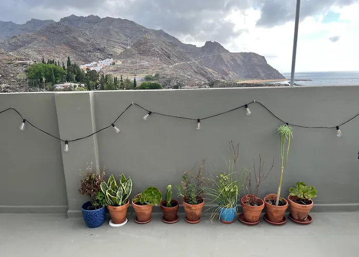 فندق مبيت وإفطار Perro Y Osito Coliving -